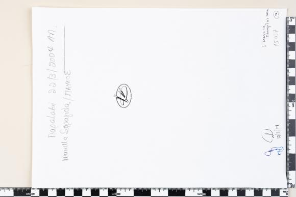 PPM 33517_1