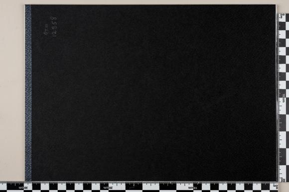 PPM 12858_1