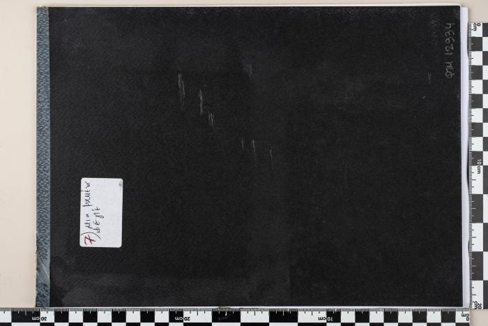 PPM 12934_1