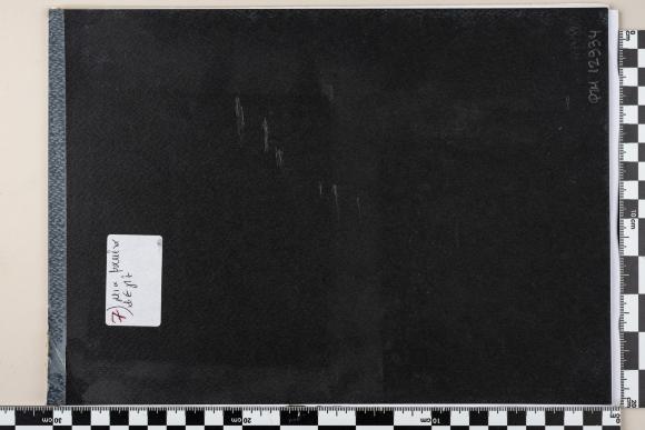 PPM 12934_1
