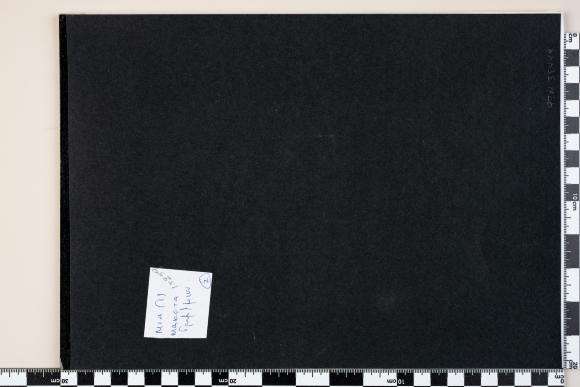 PPM 35449_1