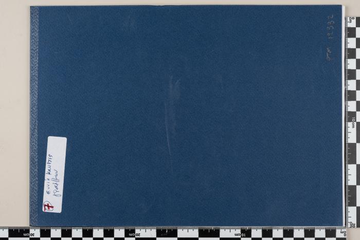 PPM 12882_1