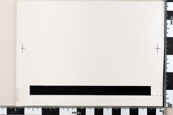 PPM 48333