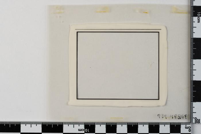 PPM 48268