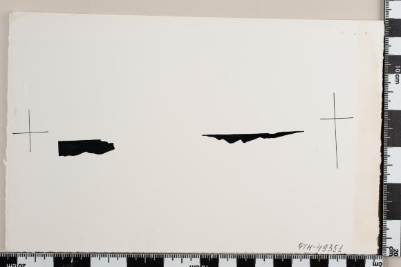 PPM 49351