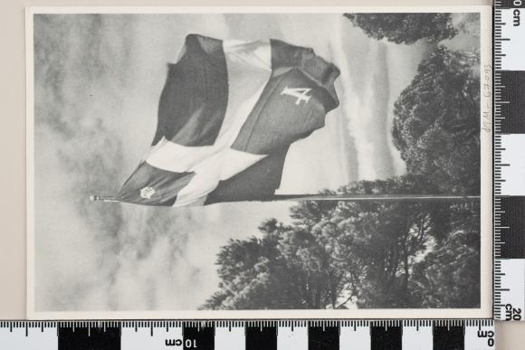 PPM 67093_1