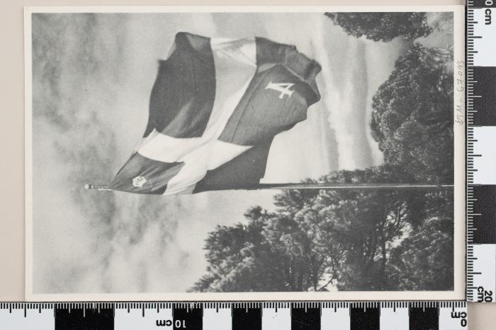 PPM 67093_1