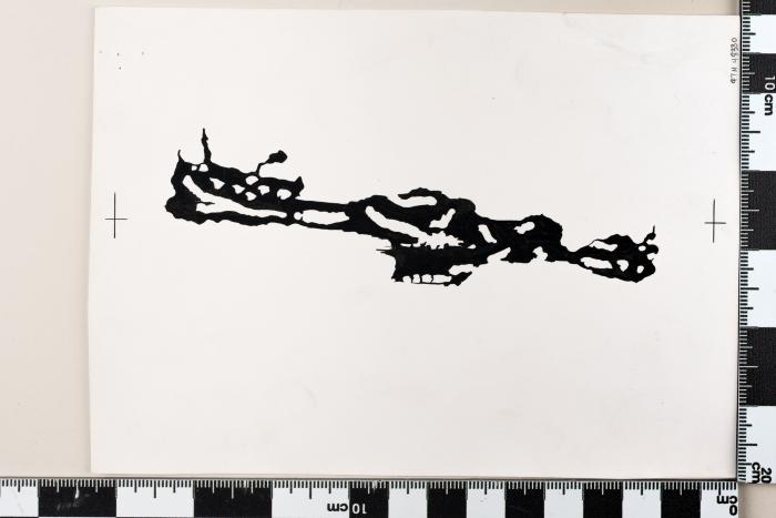 PPM 48330