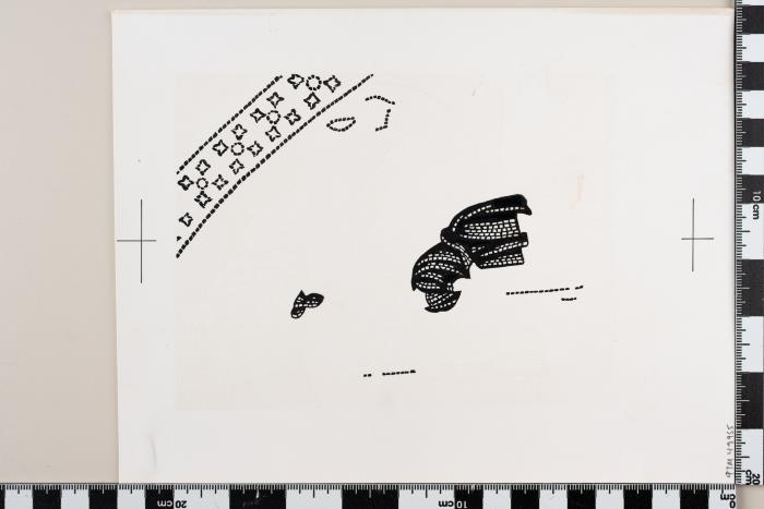 PPM 49955