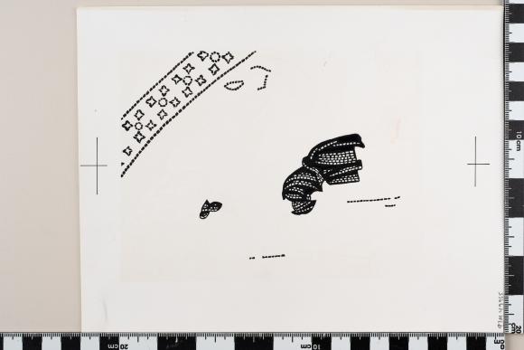PPM 49955