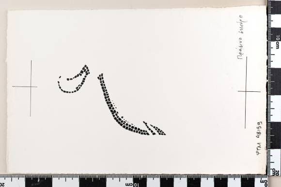 PPM 48159