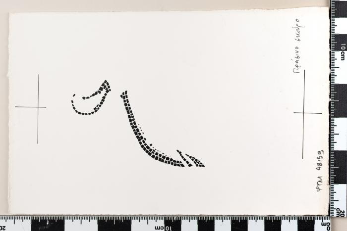 PPM 48159