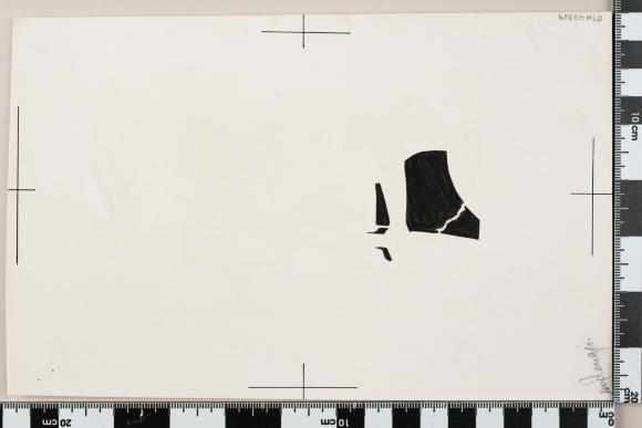 PPM 47869