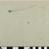 PPM 49759_1