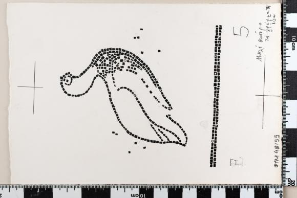 PPM 48155