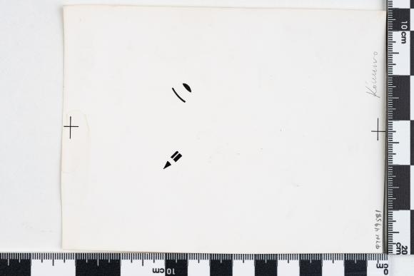 PPM 49581
