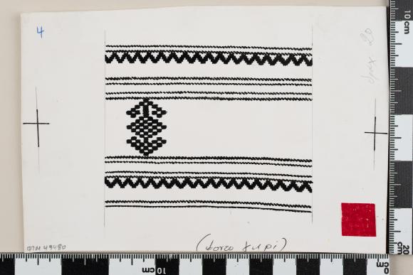 PPM 49480