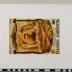 PPM 26026_1
