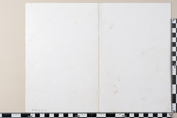 PPM 21695_1