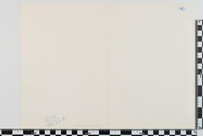 PPM 22845_1