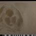 PPM 39545_1