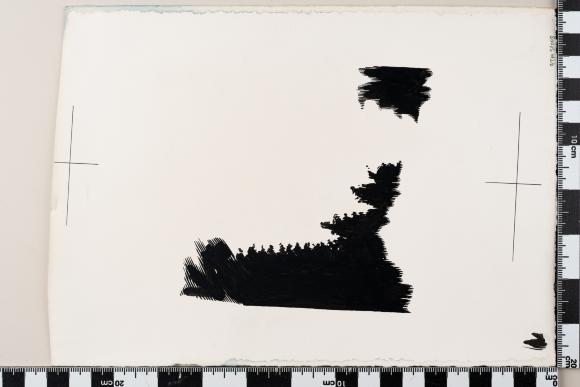 PPM 51008