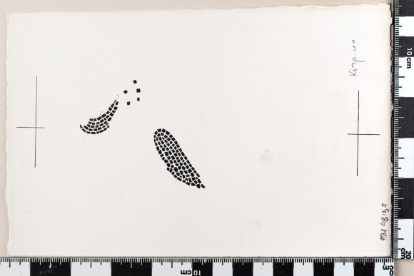 PPM 48157