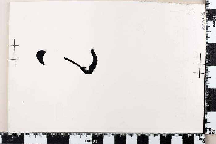 PPM 48326