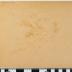 PPM 46986_1