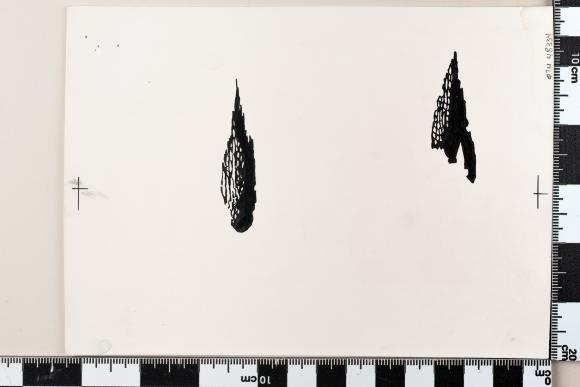 PPM 48334
