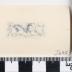 PPM 51261_1