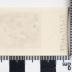 PPM 51326_1