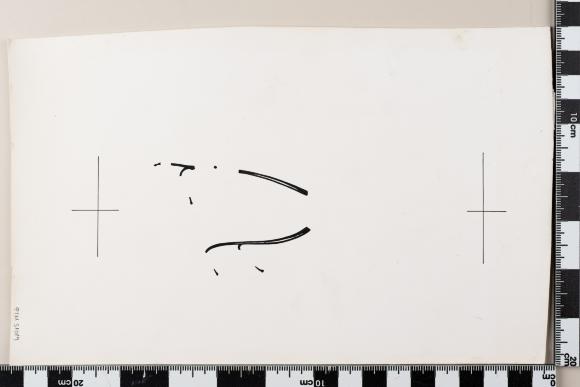 PPM 51019