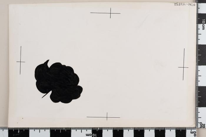 PPM 47832