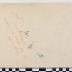 PPM 47205_1