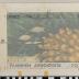 PPM 19141_1;PPM 19141_2