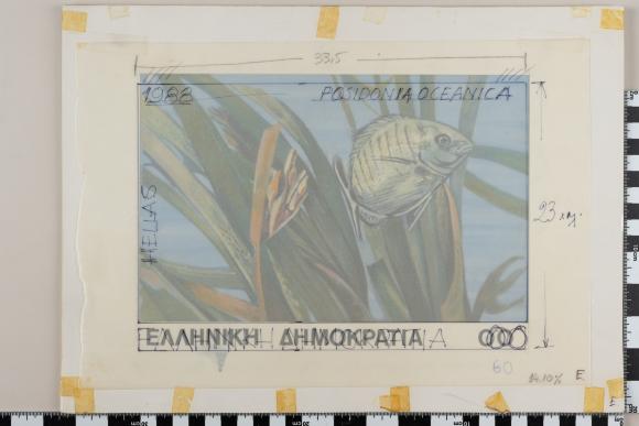 PPM 19144_1