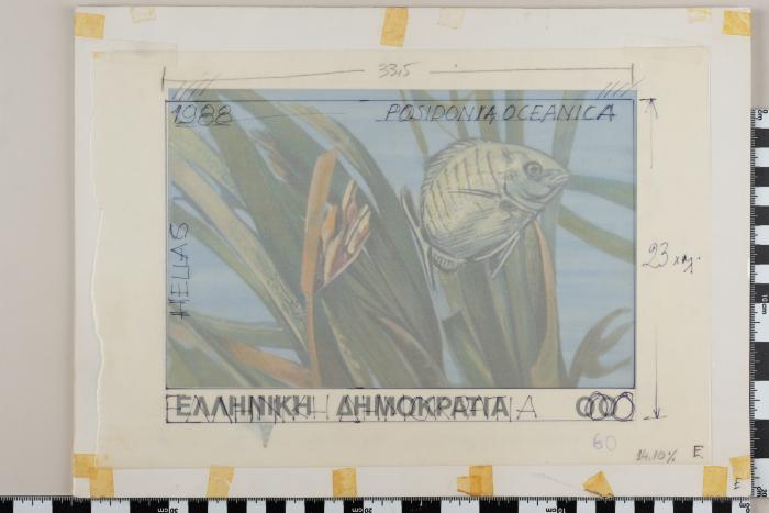 PPM 19144_1