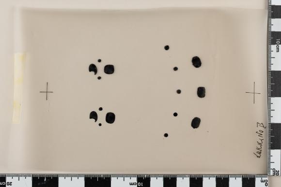 PPM 49477_2